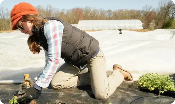 Woman Gardener Planting Plants 1
